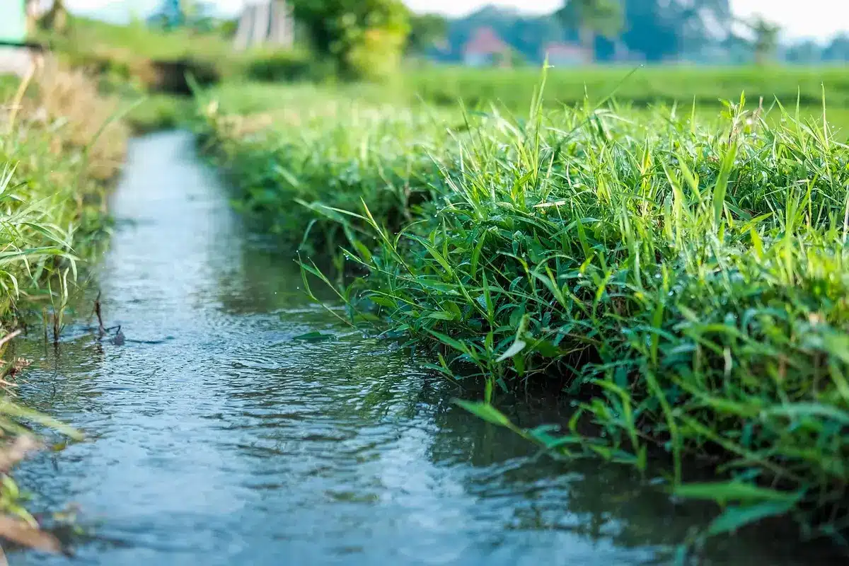 Ogłoszenie obsady na scenie konferencyjnej z mikrofonami